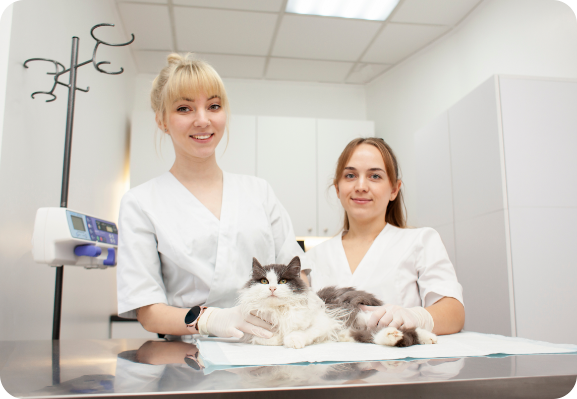 Veterinary delivery forms