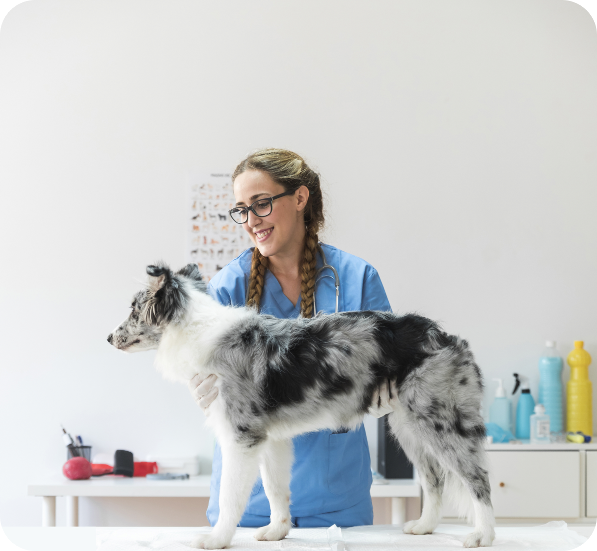 Veterinarian compounding context
